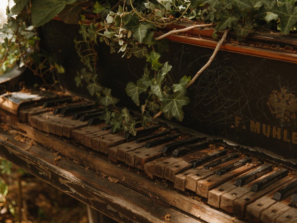 A forgotten old piano overtaken by lush green ivy plants, showcasing nature's reclamation.